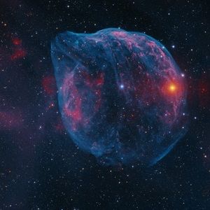 Meet your Posher, Lawson